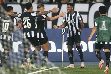 Imagem ilustrativa da imagem Golaços de Júnior Santos dão vantagem ao Botafogo na Libertadores