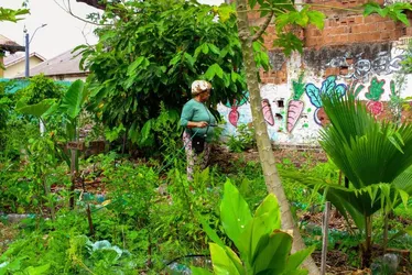 Imagem ilustrativa da imagem Grande Recife vai ganhar primeira Escola de Agriculturas Urbanas e Periurbanas