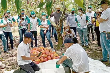 Imagem ilustrativa da imagem Herdeiros no agronegócio: programa para planejar a sucessão no meio rural