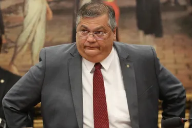 Imagem ilustrativa da imagem Indicação de Dino fez STF ignorar veto de ministro