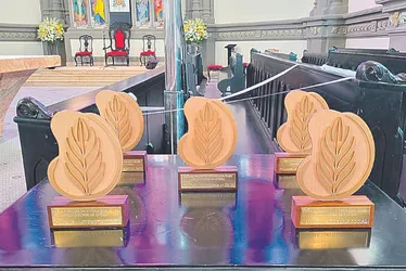 
          Imagem ilustrativa da imagem Inscrições abertas para 3ª edição do prêmio Palma da Vitória
          