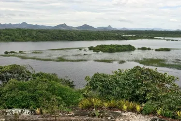 Imagem ilustrativa da imagem MPF pede à Justiça desocupação de imóveis em área ambiental de Guarapari