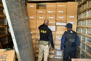 Imagem ilustrativa da imagem Mais de 1 milhão de cigarros são apreendidos em fundo falso de caminhão no ES