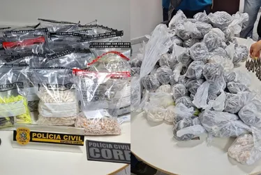 Imagem ilustrativa da imagem Mais de 10 mil pinos de cocaína são apreendidos pela polícia em Cariacica