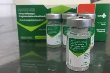Imagem ilustrativa da imagem Mais de 1,5 milhão de capixabas devem se vacinar contra a gripe a partir deste mês