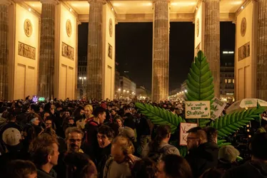 Imagem ilustrativa da imagem Nova lei entra em vigor e facilita acesso à maconha na Alemanha