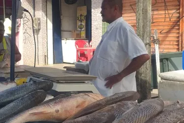 Imagem ilustrativa da imagem Olinda tem forró em pontos de vendas de peixes