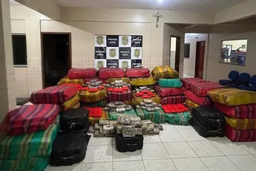 Imagem ilustrativa da imagem Polícia apreende 3,2 toneladas de drogas escondidas entre peixes congelados