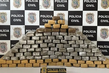 Imagem ilustrativa da imagem Polícia descobre depósito de drogas e apreende 100 quilos de maconha na Serra