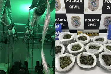 Imagem ilustrativa da imagem Polícia encontra laboratório para cultivo de maconha na Serra
