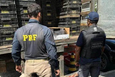 Imagem ilustrativa da imagem Polícia já apreendeu mais de 12 milhões de cigarros falsos no ES em 2024