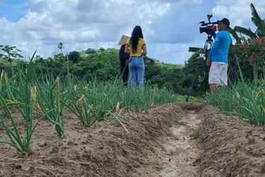 Imagem ilustrativa da imagem Programa Notícias no Campo: Gravatá, Vitória, Glória de Goitá em foco
