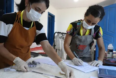 
          Imagem ilustrativa da imagem Projeto inédito para preservação de vestimentas sacras
          