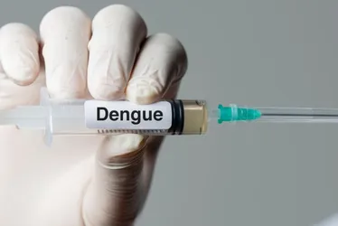 Imagem ilustrativa da imagem Recife contra a Dengue: Campanha de Vacinação começa nesta terça-feira: veja locais