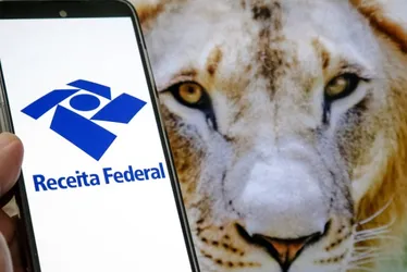 Imagem ilustrativa da imagem Prazo para declarar o Imposto de Renda chega ao final nesta sexta