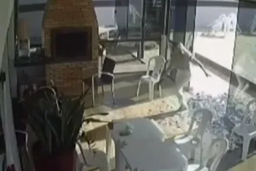 Imagem ilustrativa da imagem Suspeita de duplo assassinato em MT sorriu e apontou arma para câmera após o crime