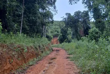 Imagem ilustrativa da imagem Suspeito de matar jovem no ES é preso e diz para polícia local onde enterrou corpo