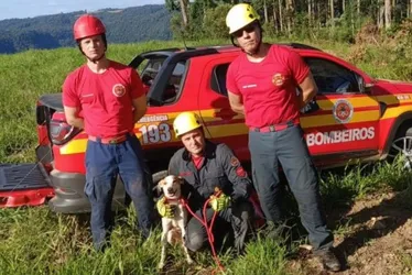 Imagem ilustrativa da imagem VÍDEO | Bombeiros percorrem mais de 40 km, usam rapel e resgatam cão em cânion
