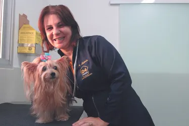 Imagem ilustrativa da imagem Veterinários apontam perigos ao transportar pets