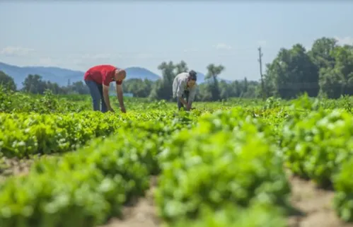 
          Imagem ilustrativa da imagem Acordo celebrado pela AGU encerra disputa judicial de quase três décadas em Pernambuco
          