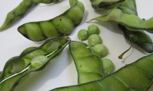 
          Imagem ilustrativa da imagem Alimentos que entram na nova cesta básica
          