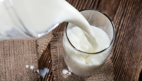 
          Imagem ilustrativa da imagem Alta concentração do vírus da gripe aviária é detectada em leite cru nos EUA
          