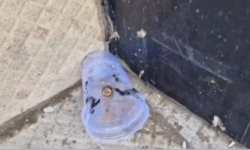 
          Imagem ilustrativa da imagem Ataque a tiros deixa quatro pessoas baleadas em Vila Velha
          