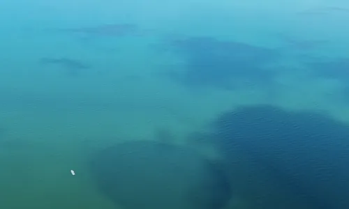 
          Imagem ilustrativa da imagem Buraco marinho mais profundo do mundo é descoberto no México
          