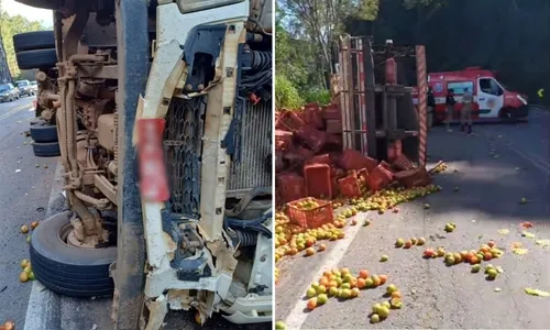 
          Imagem ilustrativa da imagem Caminhão tomba, mata motociclista e deixa BR-262 interditada
          