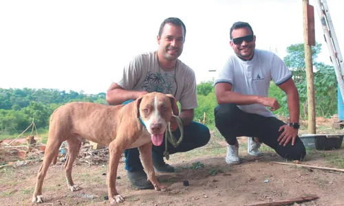 
          Imagem ilustrativa da imagem Cão deixado em imóvel já tem nova família
          