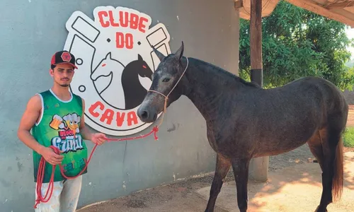 
          Imagem ilustrativa da imagem Cavalos movimentam R$ 13 milhões no ES
          