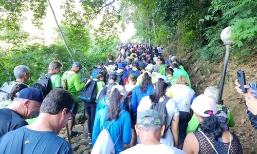 
          Imagem ilustrativa da imagem Centenas de pessoas fazem rota dos primeiros imigrantes italianos no ES
          