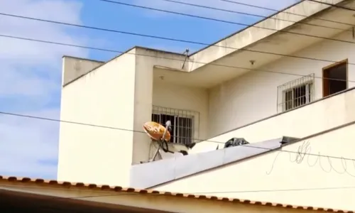 
          Imagem ilustrativa da imagem Comerciante reage a assalto e é baleado na Serra
          