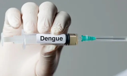 
          Imagem ilustrativa da imagem Confira a lista dos municípios de Pernambuco que receberão a vacina contra dengue
          
