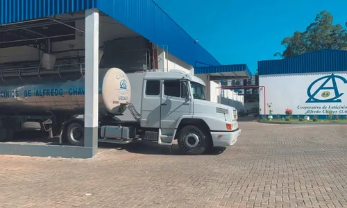 
          Imagem ilustrativa da imagem Conheça a histórica da cooperativa que se dedica há 62 anos ao “ouro branco”
          