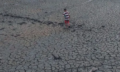 
          Imagem ilustrativa da imagem Crise climática ameaça transporte de produtos
          