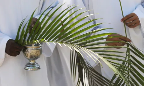 
          Imagem ilustrativa da imagem Dia de missa e procissão de ramos nas paróquias
          