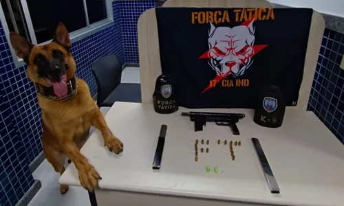 
          Imagem ilustrativa da imagem Drogas e armas são apreendidas durante ação da polícia na Grande Vitória
          