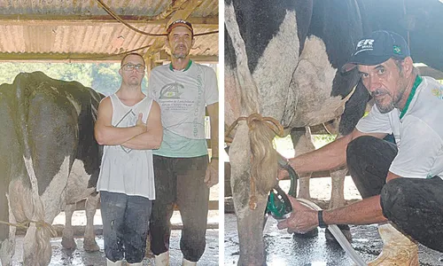 
          Imagem ilustrativa da imagem ES produz 1 milhão de litros de leite por dia
          