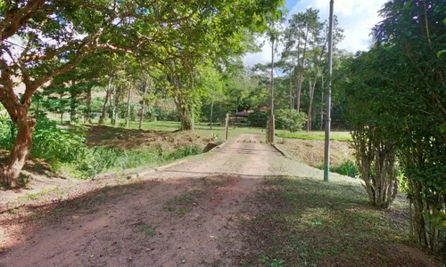 
          Imagem ilustrativa da imagem Ecoparque em Santa Teresa fica pronto até o fim do ano
          