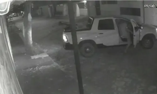 
          Imagem ilustrativa da imagem Empresa de paisagismo tem prejuízo de R$ 100 mil após invasão em Vila Velha
          