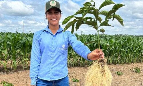 
          Imagem ilustrativa da imagem Fazendeiras se dividem entre campo e cidade
          