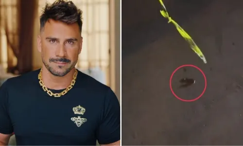 
          Imagem ilustrativa da imagem Filho de Julio Rocha, de 3 anos, encontra cobra em quadriciclo enquanto brincava
          