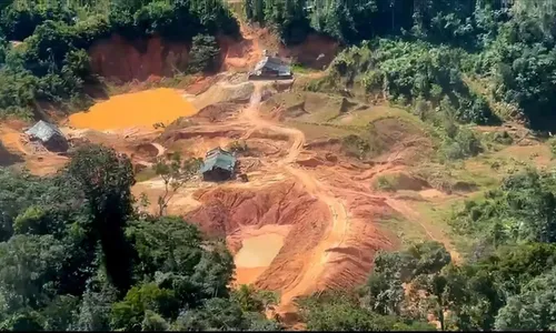 
          Imagem ilustrativa da imagem Garimpo ilegal usava trabalho análogo à escravidão no Amazonas
          