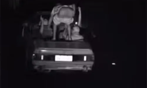 
          Imagem ilustrativa da imagem Homem abaixa as calças, mostra partes íntimas para radar e foto vai parar na multa
          