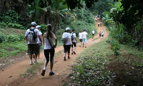 
          Imagem ilustrativa da imagem Inscrições abertas para o "Caminho do Imigrante", que comemora 20 anos
          