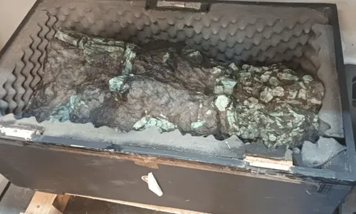 
          Imagem ilustrativa da imagem Leilão da Receita tem esmeralda, caminhão, celular por R$ 500 e mais itens
          