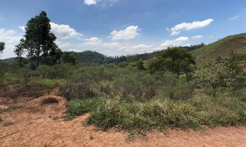 
          Imagem ilustrativa da imagem Localizados destroços de avião que caiu na Serra do Japi, em São Paulo
          