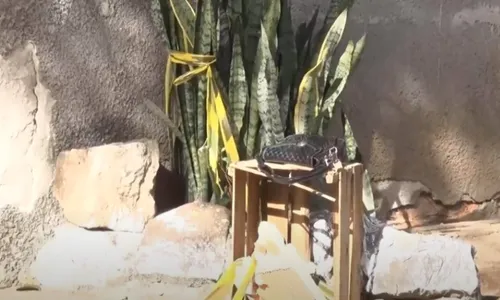 
          Imagem ilustrativa da imagem Mulher é encontrada morta e sem roupa em Vila Velha
          