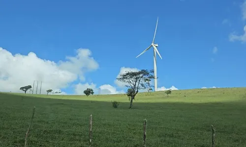 
          Imagem ilustrativa da imagem Notícias do Campo deste domingo de Páscoa, excepcionalmente, às 7h45
          